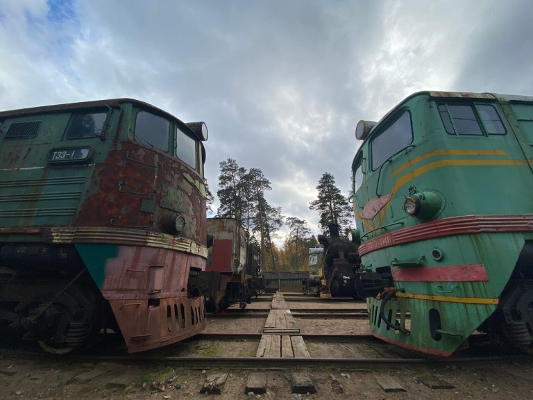 Выходные в Пионерском парке