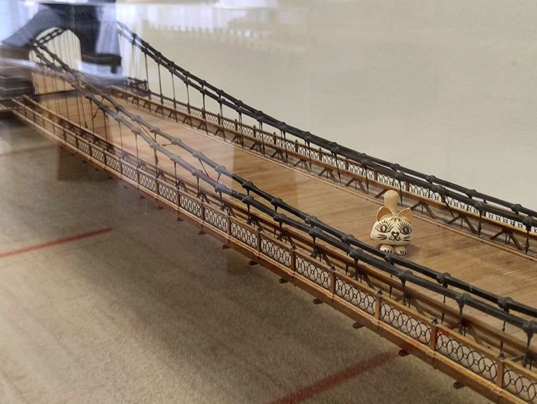 1 марта в России отмечают день кошек!