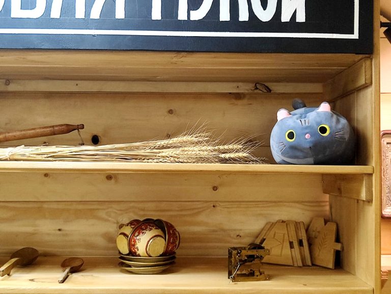 1 марта в России отмечают день кошек!